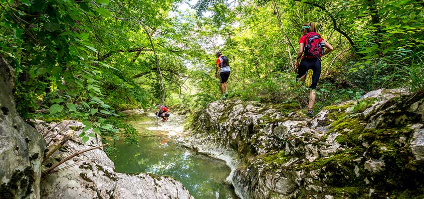 Hiking trails